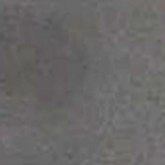 Gun